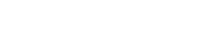 LOGO BVT4D